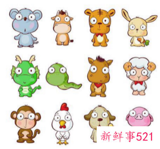 十二生肖男女属相配对