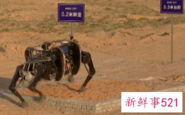 国产牦牛仿生机器人亮相