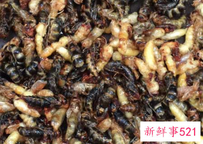 长期吃蜂蛹有什么危害