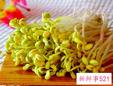 春天吃什么食物