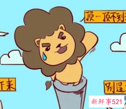 如何能挽回狮子的心态