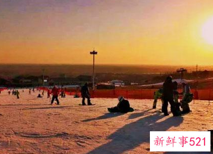 单板滑雪和双板滑雪哪个更难