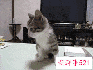 改善晚睡的方法