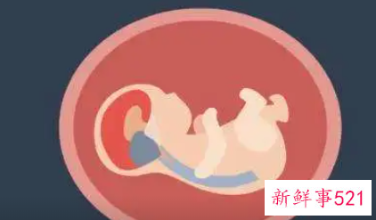 怀孕nt值多少正常