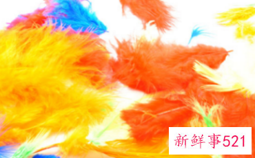 黄色代表什么爱情暗示