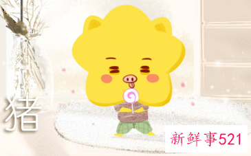 属猪男喜欢年龄大的女人吗