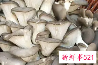 菌类抗癌效果最好的种类是什么