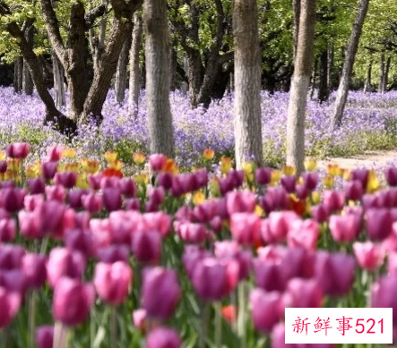 五一还能出去旅游吗