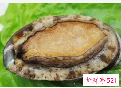 鲍鱼是寒性食物吗