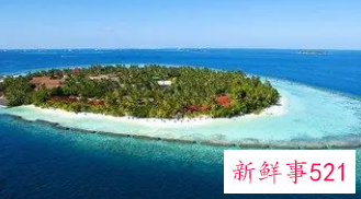 梦见岛屿的寓意