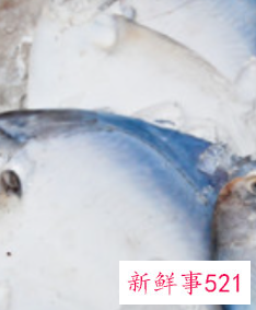 巴沙鱼带皮能不能吃