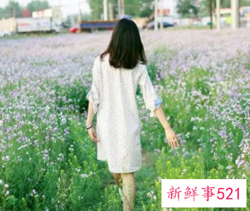 怎样和妹子聊天找话题