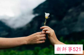 女人想复合暗示