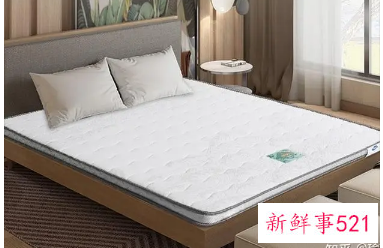 床垫什么材质的好