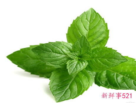 凉拌薄荷叶有什么功效