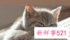 不想去上班是什么心理