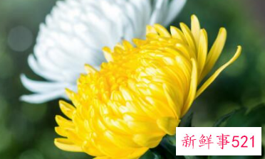 清明节送酒合适吗