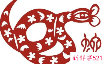 女人抢着要的生肖男