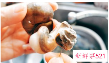 田螺排骨煲做法