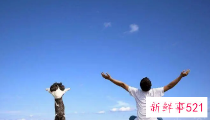 做什么能释放心理压力