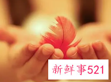 2244爱情有什么含义