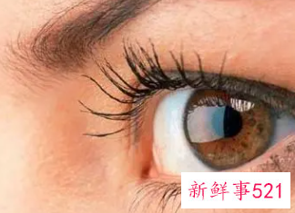 教你8步打造模特般深邃电眼