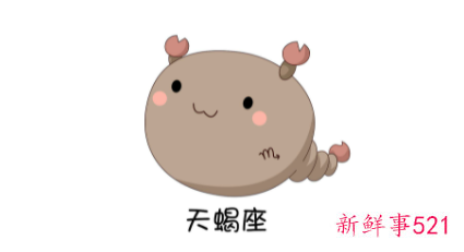 天蝎女的专属花