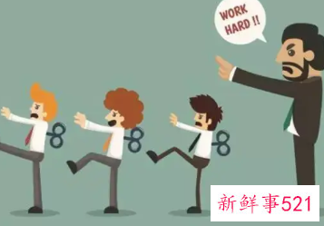 如何吸引上司的注意力