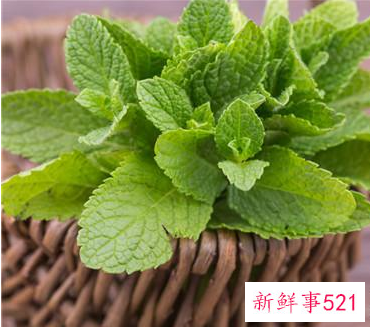 凉拌薄荷叶有什么功效