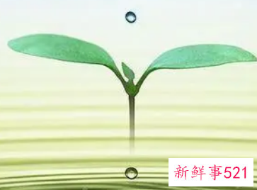 水务公司未来发展方向