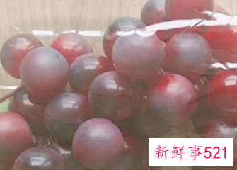 葡萄怎样保存
