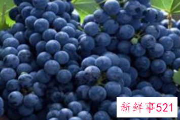 葡萄怎样保存