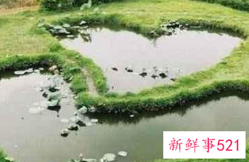 家最温馨的港湾