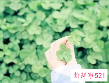 女人心地善良的诗