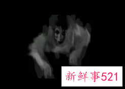 正常人看见鬼怎么回事