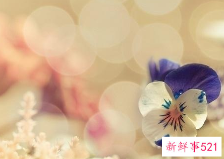 感悟人生的句子都有哪些