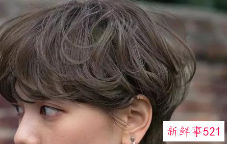 头发少怎么发型比较合适呢