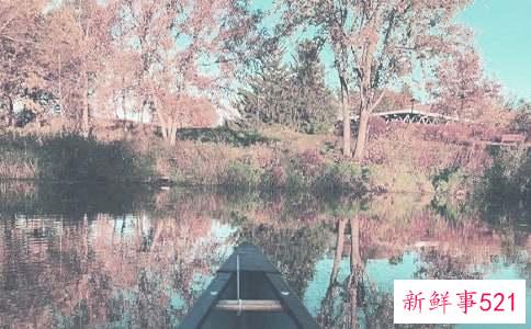 秋季美白该怎么做