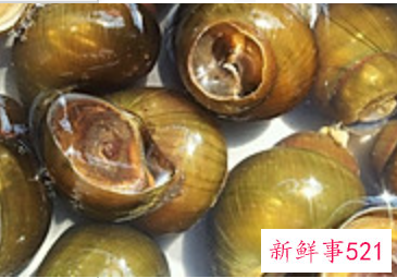 田螺排骨煲做法