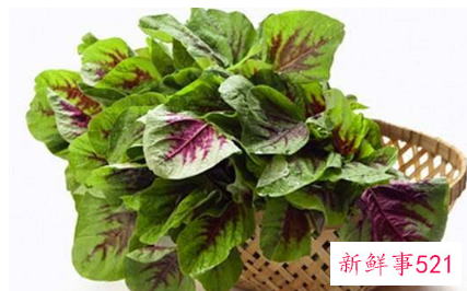 苋菜的功效与作用及图片