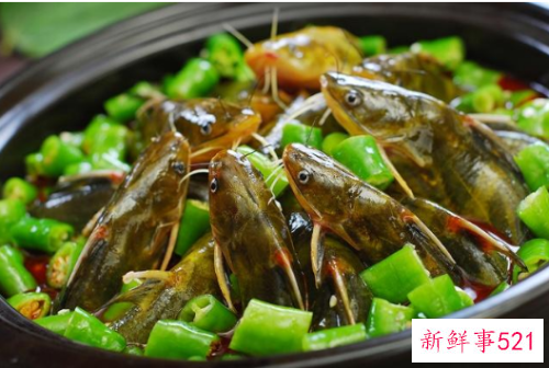 常见淡水鱼营养价值排名