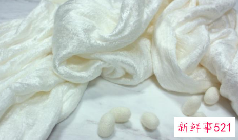 蚕丝被和棉花被哪个更适合家庭盖