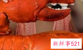 网红吃播的套路