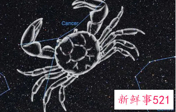 不聪明的星座有哪些