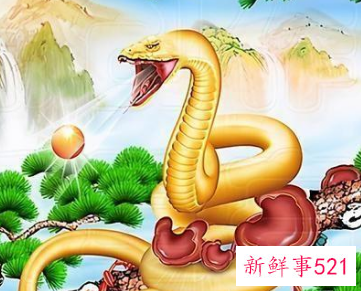 十二生肖颜色查询表