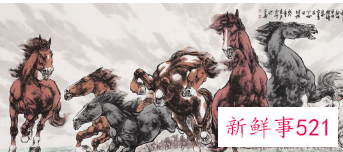 茶室挂画图片欣赏