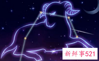 不聪明的星座有哪些