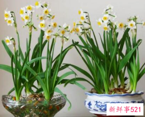 大门口适合摆放什么招财