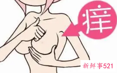 乳房瘙痒挂什么科