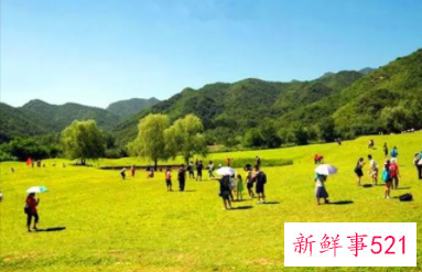 宝宝多参加户外活动有助于三大能力提升